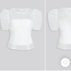 Endless Rose Sheer Puff Sleeve Top